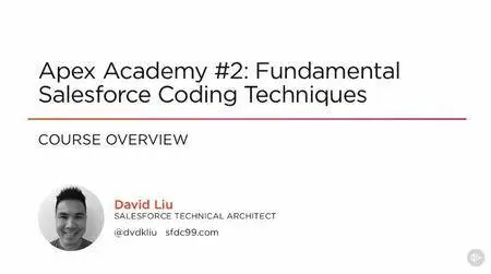 Apex Academy #2: Fundamental Salesforce Coding Techniques