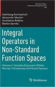 Integral Operators in Non-Standard Function Spaces: Volume 2