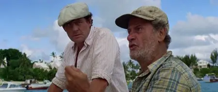 The Deep (1977)