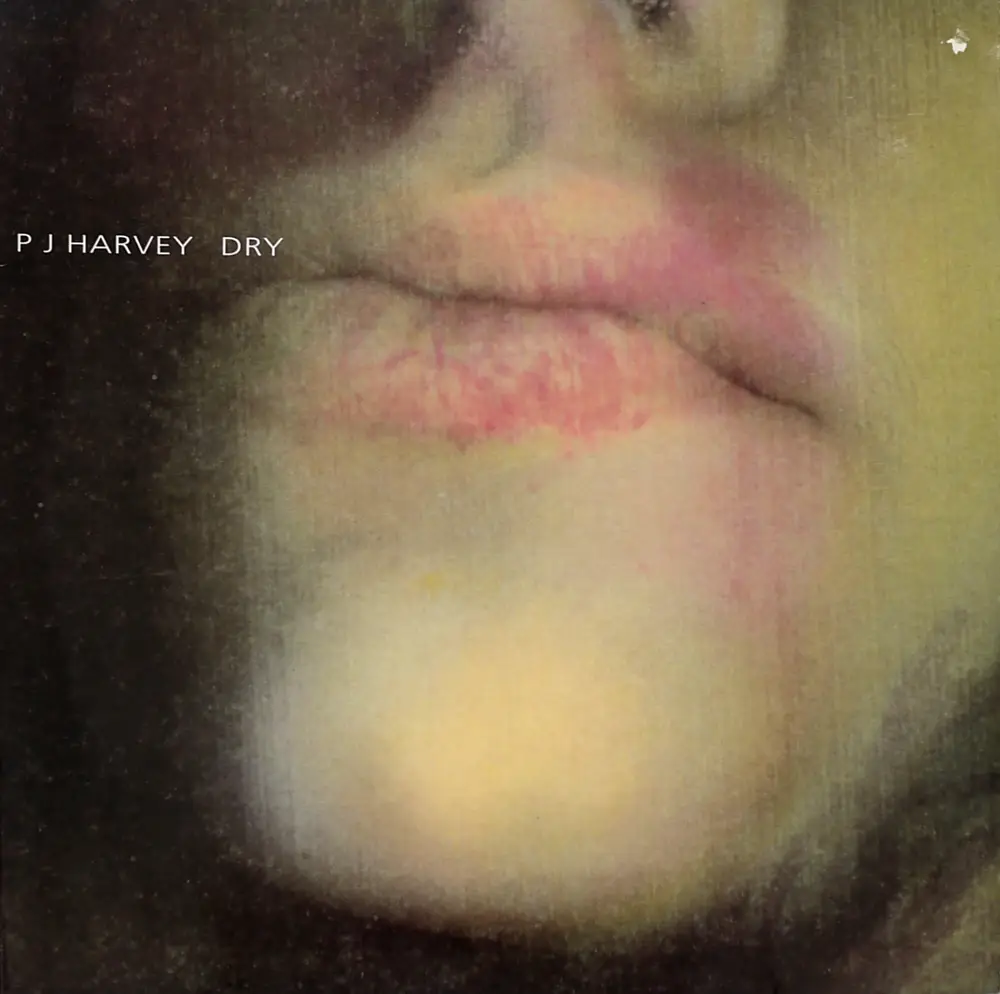 PJ Harvey - Dry (UK Original) Vinyl rip in 24 Bit/96 Khz + CD