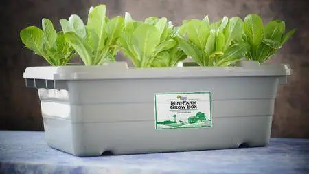 Aquaponics: Food Rising Mini-Farm Grow Box Preppers Survival