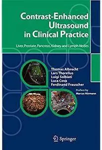 Contrast-Enhanced Ultrasound in Clinical Practice: Liver, Prostate, Pancreas, Kidney and Lymph Nodes [Repost]