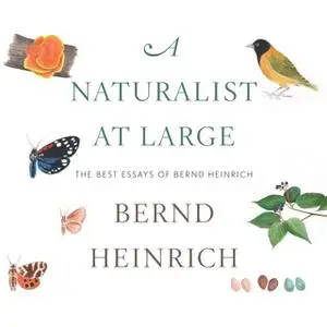 «A Naturalist at Large: The Best Essays of Bernd Heinrich» by Bernd Heinrich