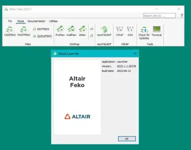 Altair FEKO 2022.1.1 HotFix
