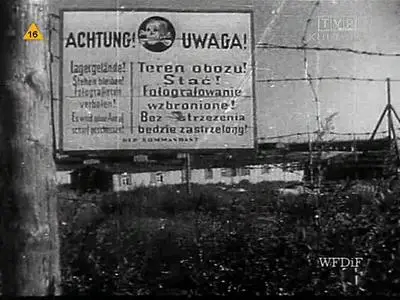 Wytwórnia Filmów Dokumentalnych i Fabularnych - Majdanek (1944)