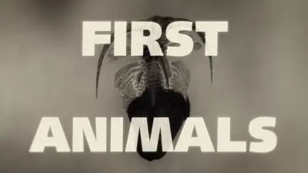 CBC - The Nature of Things: First Animals (2019)