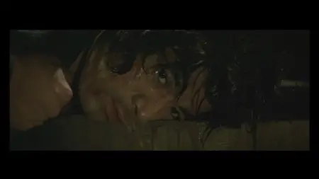 Lady Snowblood (1973) + Lady Snowblood 2 (1974)