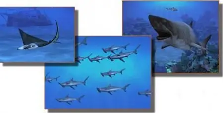 LifeGlobe Sharks Terrors of the Deep 2.0 - Screensavers