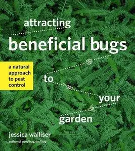 Attracting Beneficial Bugs to Your Garden: A Natural Approach to Pest Control (repost)