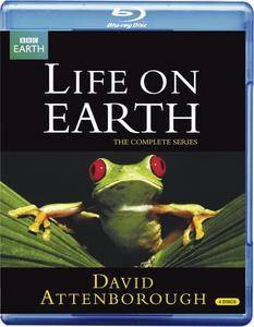 BBC - Life on Earth (1979)