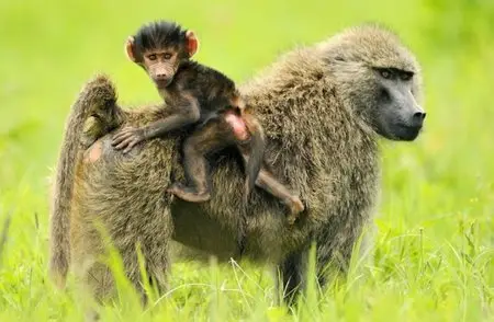 World In Photo 241