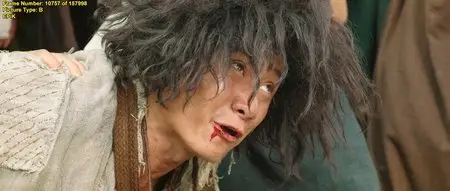 Journey to the West: Conquering the Demons (2013)