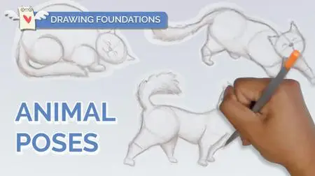 Drawing Fundamentals: How to Draw Cat Animal Poses