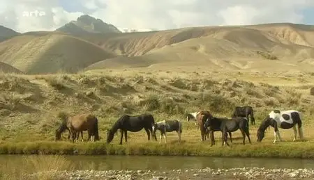 (Arte) Sur les traces du cheval de Gengis Khan (2012)
