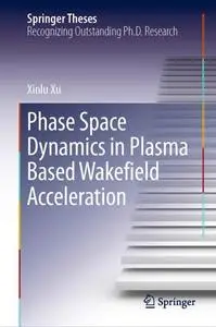 Phase Space Dynamics in Plasma Based Wakefield Acceleration (Repost)