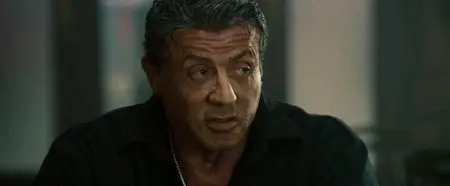 The Expendables 3 (2014)