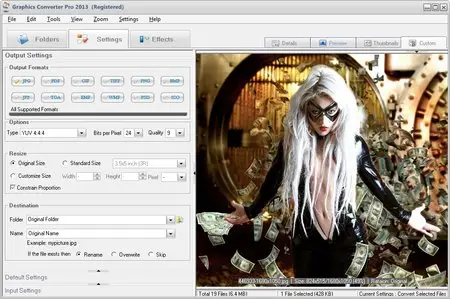 IconCool Graphics Converter Pro 2013 3.30 Build 131101