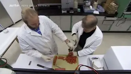 (Arte) La cuisine est-elle le propre de l'homme ? (2011)