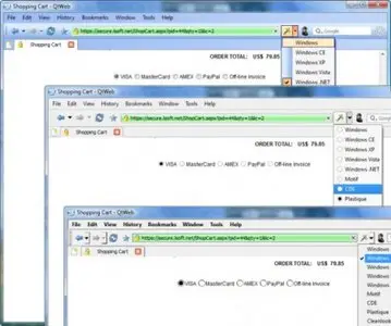 QtWeb Browser 3.3.0.43 Portable