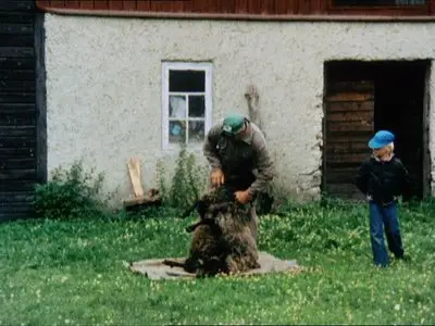 Fårö-dokument 1979 (1979) [Re-UP]