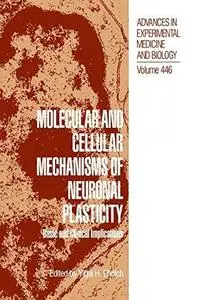 Molecular and Cellular Mechanisms of Neuronal Plasticity: Basic and Clinical Implications