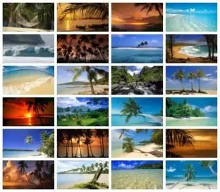 Webshots - Tropical Paradise (08/2010) - Wide Screen (1920 x 1080)