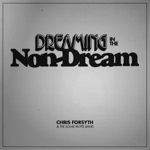 Chris Forsyth & The Solar Motel Band - Dreaming In The Non-Dre (2017)
