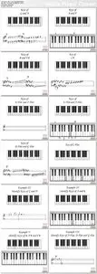 Educator - Music Theory