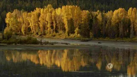 PBS - Nature: Leave it to Beavers (2014)