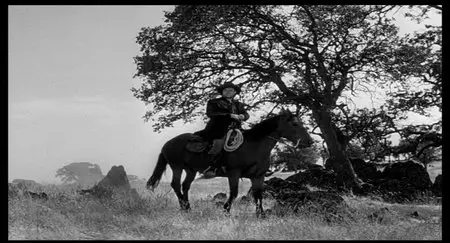 High Noon [Two-Disc Ultimate Collector's Edition] (1952)