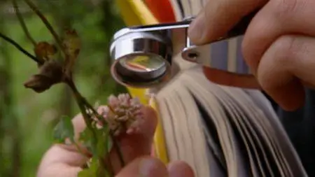 BBC - Botany: A Blooming History (2011)