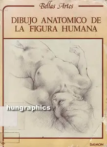 dibujo anatómico de la figura humana