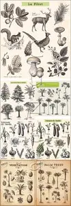 Vector Set Tree and Animals