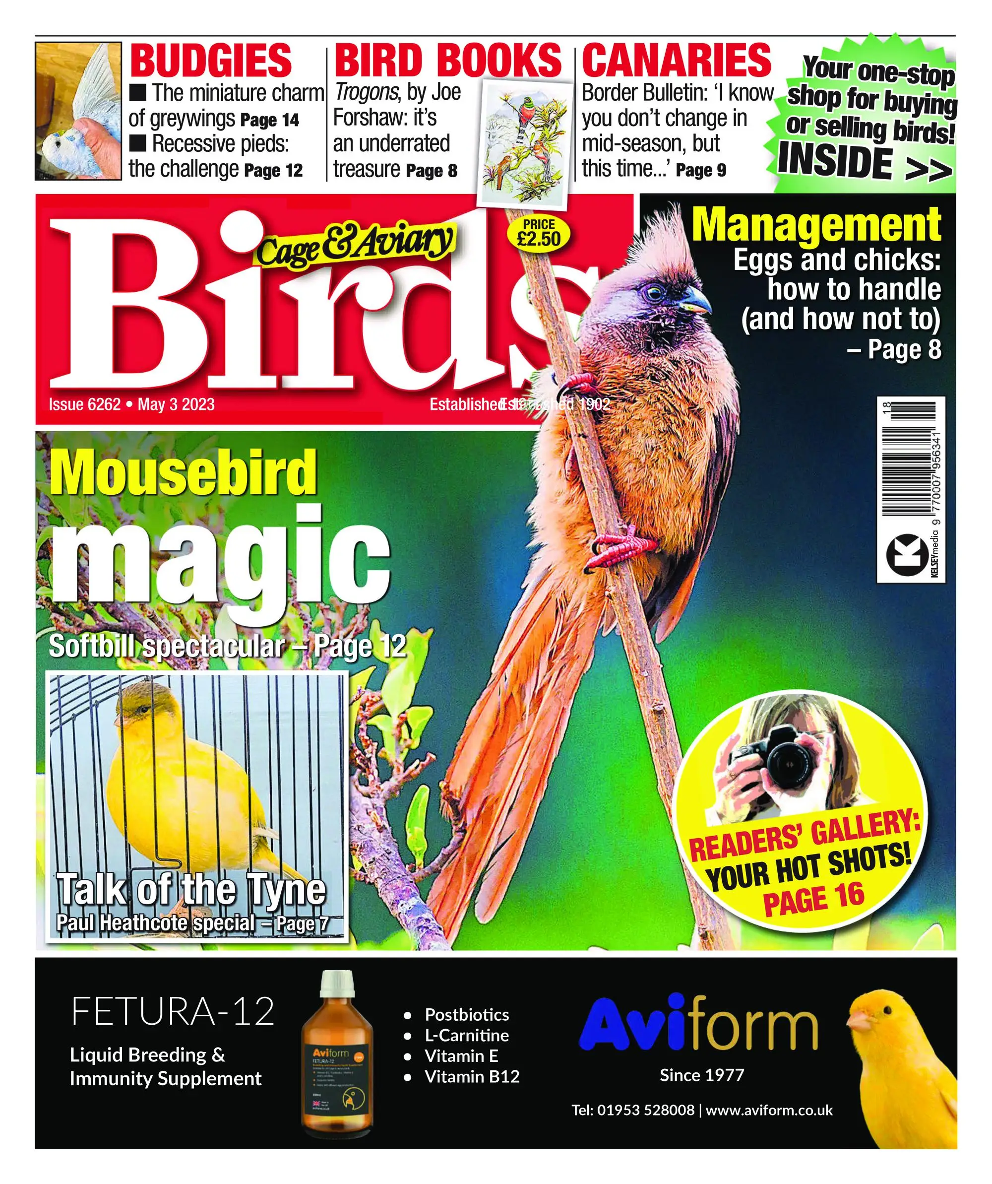 Cage & Aviary Birds – 03 May 2023