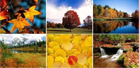 Nature Scenes - Fall Colors
