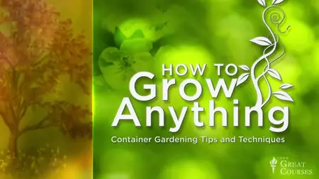 How to Grow Anything: Container Gardening Tips & Techniques [repost]