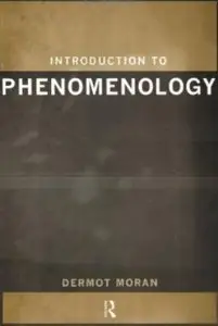 Introduction to Phenomenology [Repost]