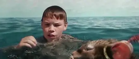 Die Chroniken von Narnia: Die Reise auf der Morgenrote (2010)