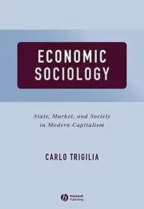 Economic Sociology: State, Market, and Society in Modern Capitalism (Repost)