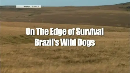 NHK Wildlife - On the Edge of Survival: Brazil's Wild Dogs (2010)