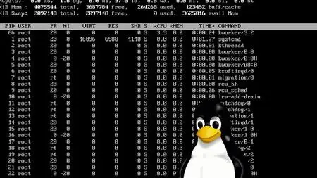 Linux System Administration Made Easy