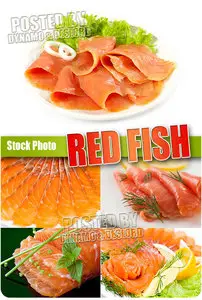 Red Fish - UHQ Stock Photo