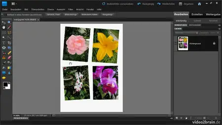 [Video2Brain] Photoshop Elements 9 - Mit Workshops für Digitalfotografen