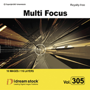 Idream Stock Multifocus Vol. 305