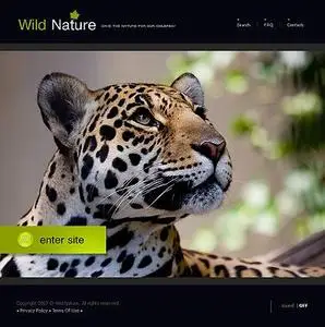 Template Monster 15531 FULL