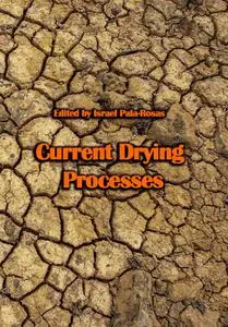 "Current Drying Processes" ed. by Israel Pala-Rosas