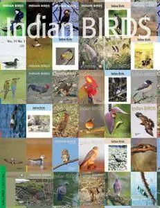 Indian Birds - January 17, 2016