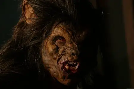 (FR+VO) L’ordre du loup (2006)