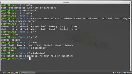 Linux Command Line for Beginners