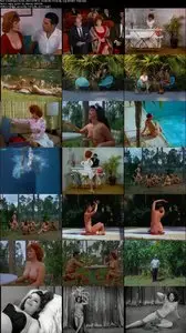 Blaze Starr Goes Nudist (1962)